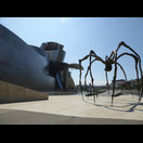 Die Bronzespinne „Maman“, eine Skulptur von Louise Bourgeois